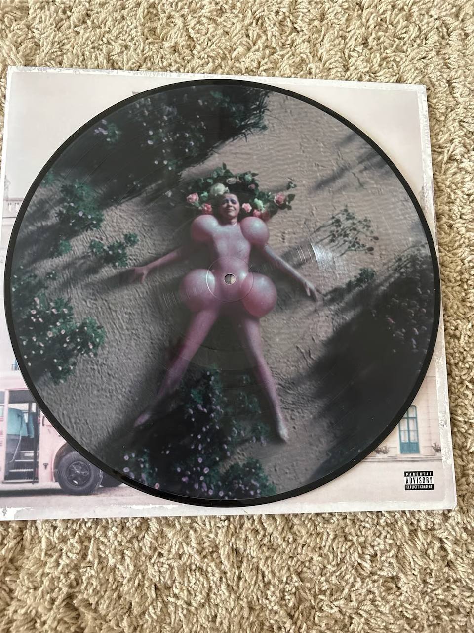 Melanie Martinez – K-12 Vinyl Collection (3 Records) – Mint Green, Picture Disc, Baby Pink Variant